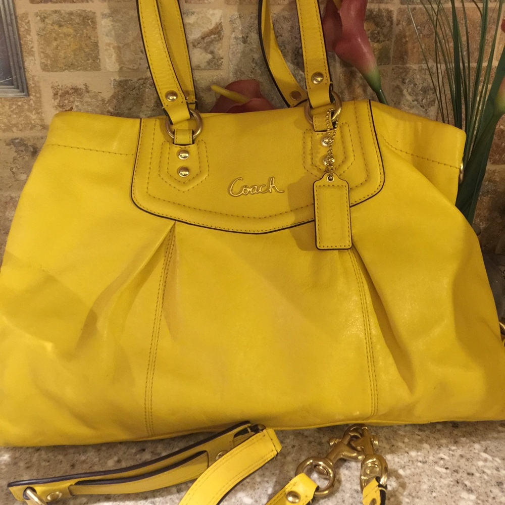 Coach Ashley Leather Carryall